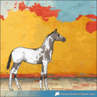 Horse Color:White Spotted Smoky Grullo Snowcap 