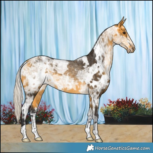 Horse Color:White Spotted Silver Buckskin Ice 
