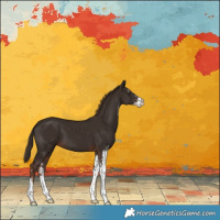 Horse Color:Liver Chestnut Sabino 