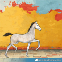 Horse Color:Buckskin Roan Splash 