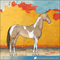 Horse Color:Sable Cream Champagne Tobiano 