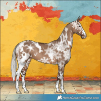 Horse Color:White Spotted Silver Brown Ice Dun 