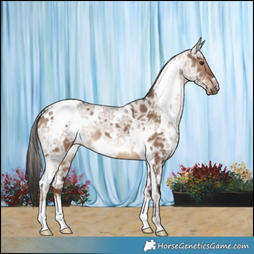 Horse Color:White Spotted Liver Red Dun Ice 