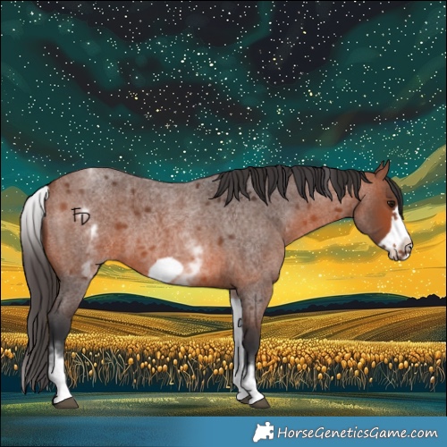 Horse Color:White Spotted Bay Roan Frame