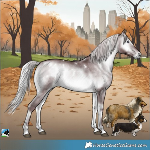 Horse Color:White Spotted Chocolate Silver Brown Chinchilla Onyx Rabicano 