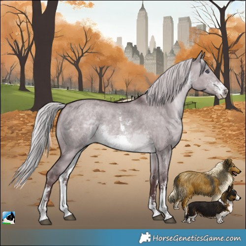 Horse Color:Chocolate Silver Brown Chinchilla Dun Sabino 