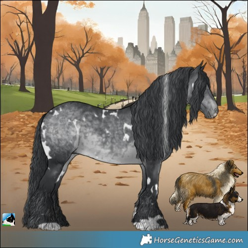 Horse Color:White Spotted Brown Chinchilla Rabicano 