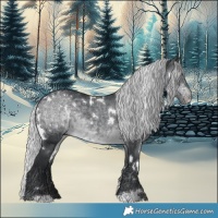 Horse Color:White Spotted Silver Brown Chinchilla Rabicano 