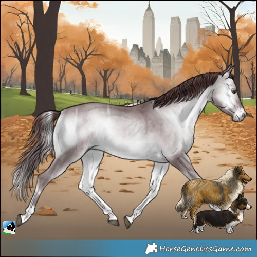 Horse Color:Chocolate Brown Chinchilla Ice Onyx