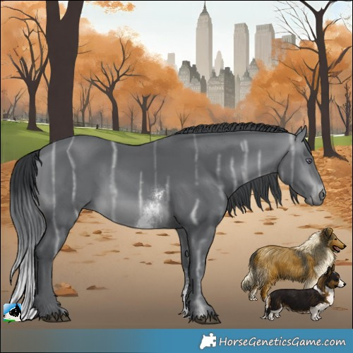 Horse Color:Brown Chinchilla Ice Sabino 