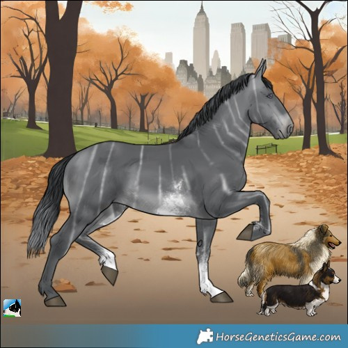 Horse Color:Brown Chinchilla Ice Sabino 