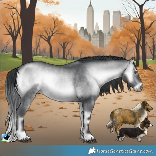 Horse Color:Brown Chinchilla Onyx Rabicano 