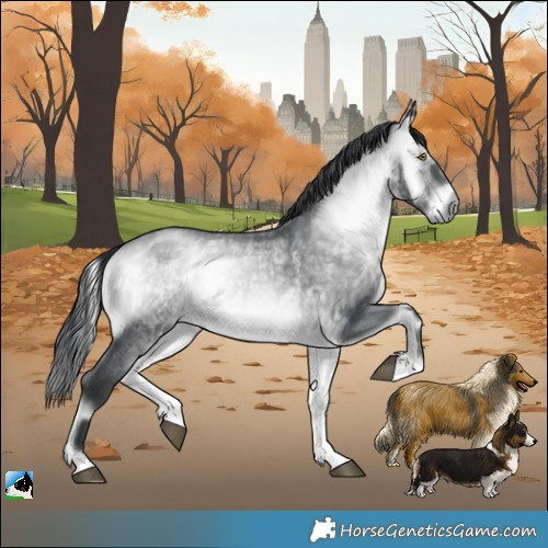 Horse Color:Brown Chinchilla Onyx Rabicano 