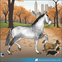 Horse Color:Brown Chinchilla Onyx Rabicano 