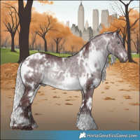 Horse Color:White Spotted Chocolate Silver Brown Chinchilla Rabicano 