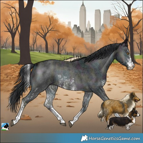 Horse Color:Midnight Brown Chinchilla Onyx Sabino