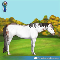 Horse Color:White Spotted Bay Frame 