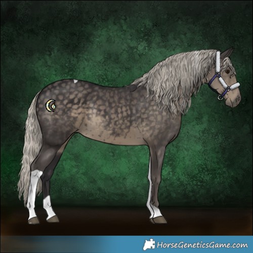 Horse Color:Silver Smoky Black Tobiano Rabicano 