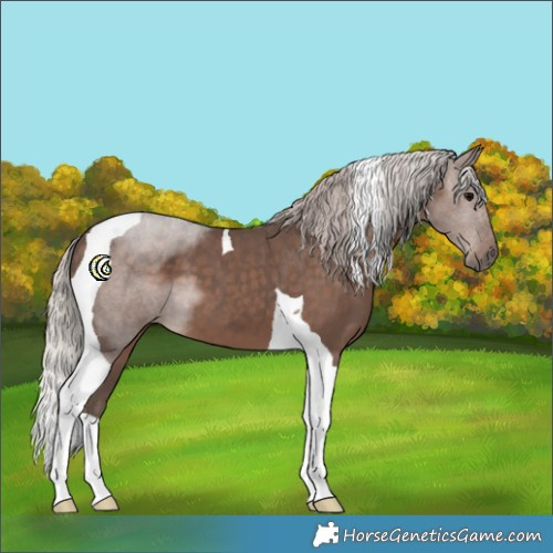 Horse Color:Silver Black Tobiano 