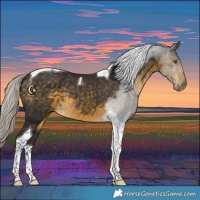 Horse Color:Silver Buckskin Tobiano 