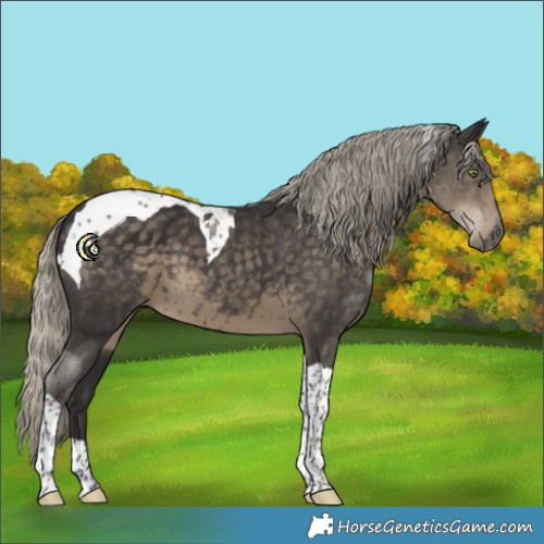 Horse Color:Silver Smoky Black Tobiano