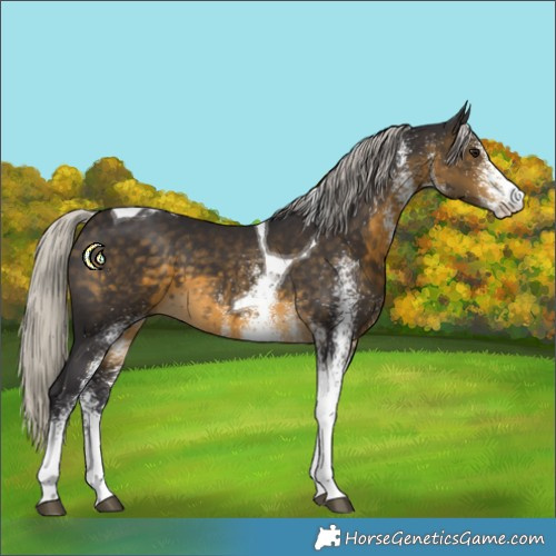 Horse Color:White Spotted Silver Buckskin Tobiano