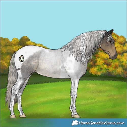 Horse Color:Silver Smoky Black Tobiano