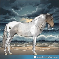 Horse Color:Silver Smoky Black Tobiano 