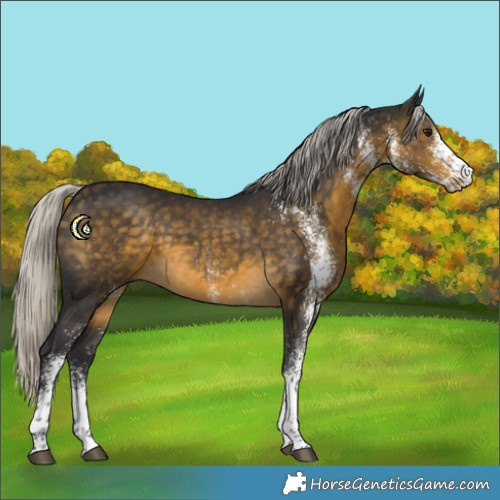 Horse Color:White Spotted Silver Buckskin Tobiano