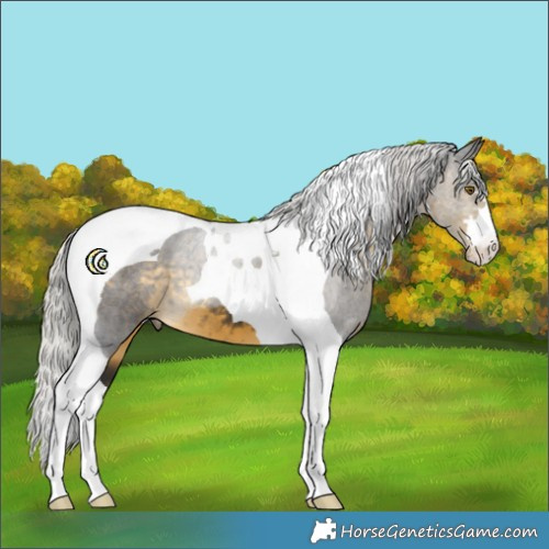 Horse Color:Silver Buckskin Tobiano 