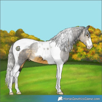 Horse Color:Silver Buckskin Tobiano 