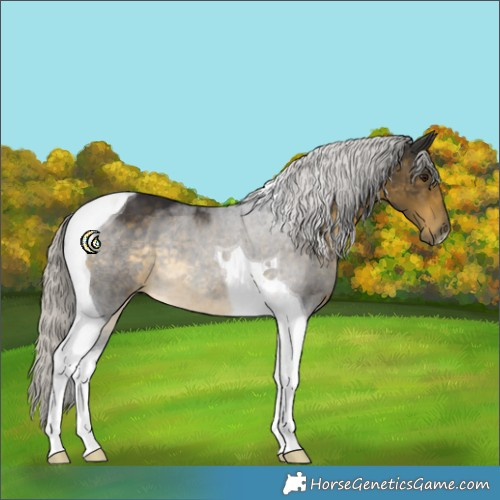 Horse Color:Silver Buckskin Tobiano