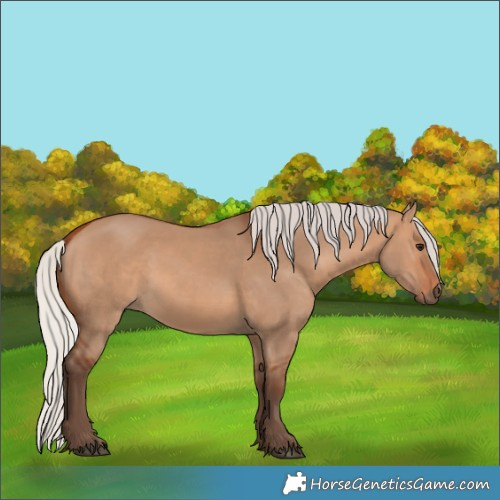 Horse Color:Silver Bay Dun