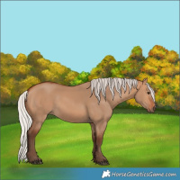 Horse Color:Silver Bay Dun 