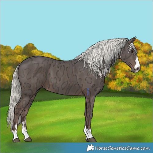 Horse Color:Liver Chestnut Ice Mushroom 