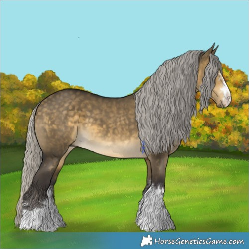 Horse Color:Silver Buckskin Dun 