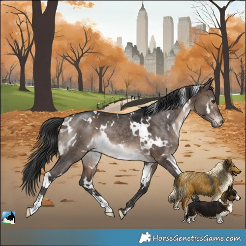 Horse Color:White Spotted Brown Dun Mushroom Rabicano 