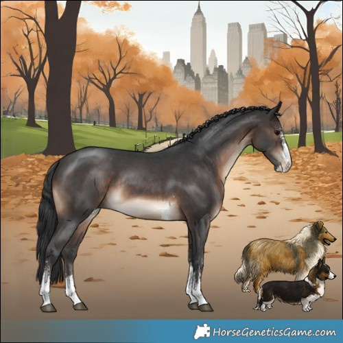 Horse Color:Brown Sabino Rabicano 