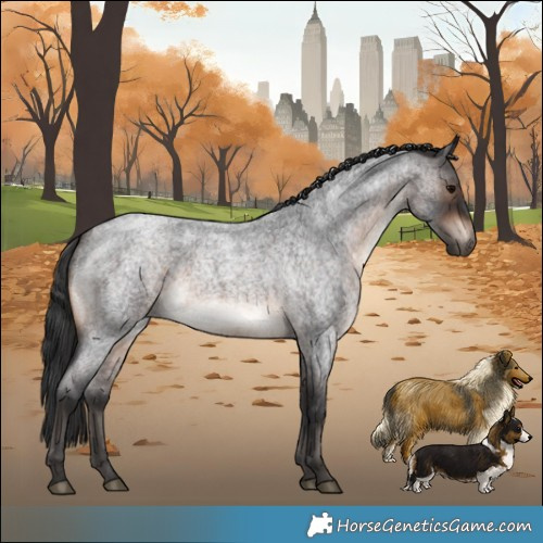 Horse Color:Brown Roan Rabicano 