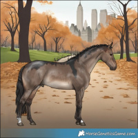 Horse Color:Brown Dun 