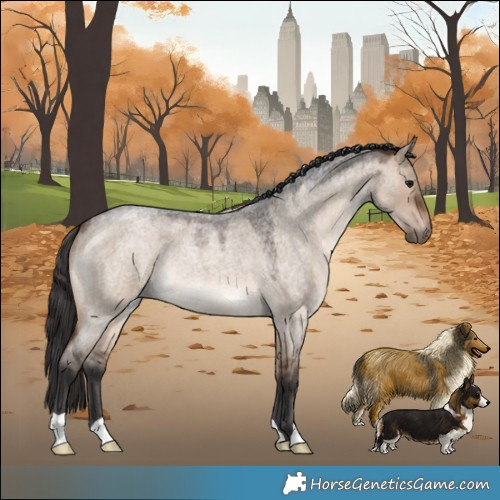 Horse Color:Brown Roan Dun 