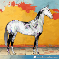 Horse Color:Nacre Grullo Ice Splash Tobiano 