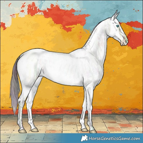 Horse Color:Nacre White Spotted Bay Ice Roan Splash Rabicano 