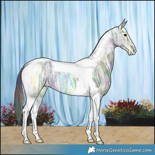 Horse Color:Nacre Grullo Ice Tobiano 
