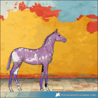 Horse Color:Watercolor White Spotted Grullo Appaloosa