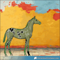 Horse Color:Watercolor White Spotted Grullo Appaloosa 