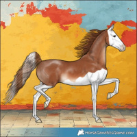 Horse Color:Chestnut Splash 