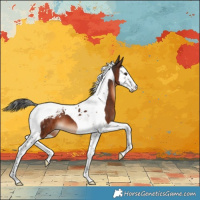 Horse Color:Brown Splash Tobiano Varnish 