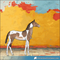 Horse Color:Brown Dun Tobiano Varnish 