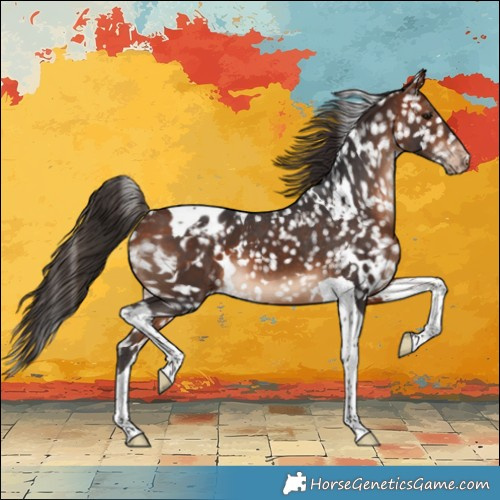 Horse Color:White Spotted Bay Tobiano Snowflake Varnish 